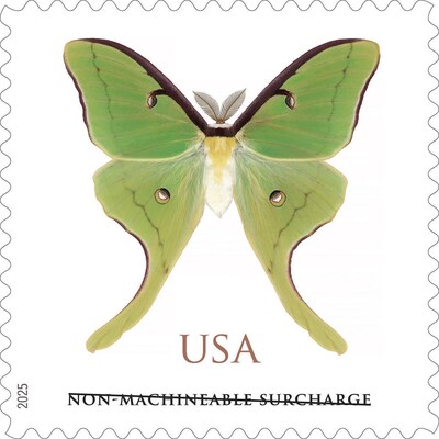 Fly by Night: Catch a Luna Moth Near You.
U.S. Postal Service issues stamp for irregularly sized cards and invitations