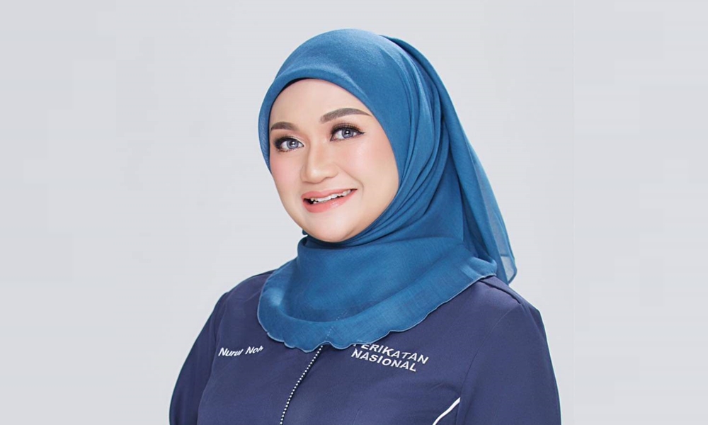 Saf PN