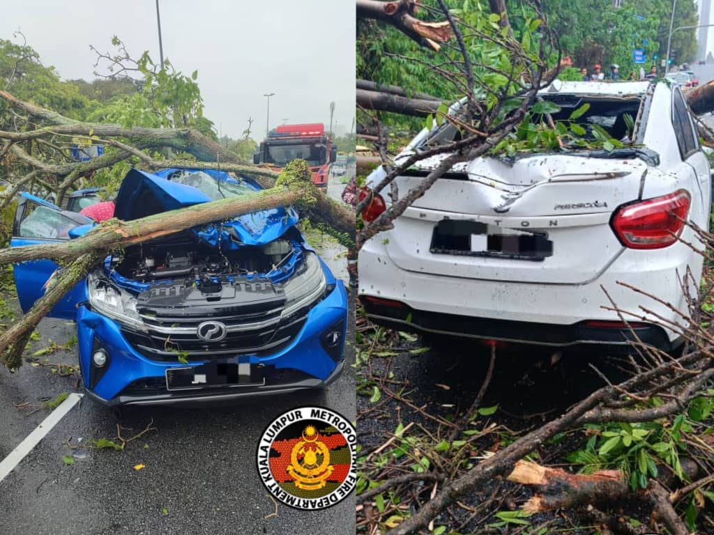 maut-pokok-tumbang