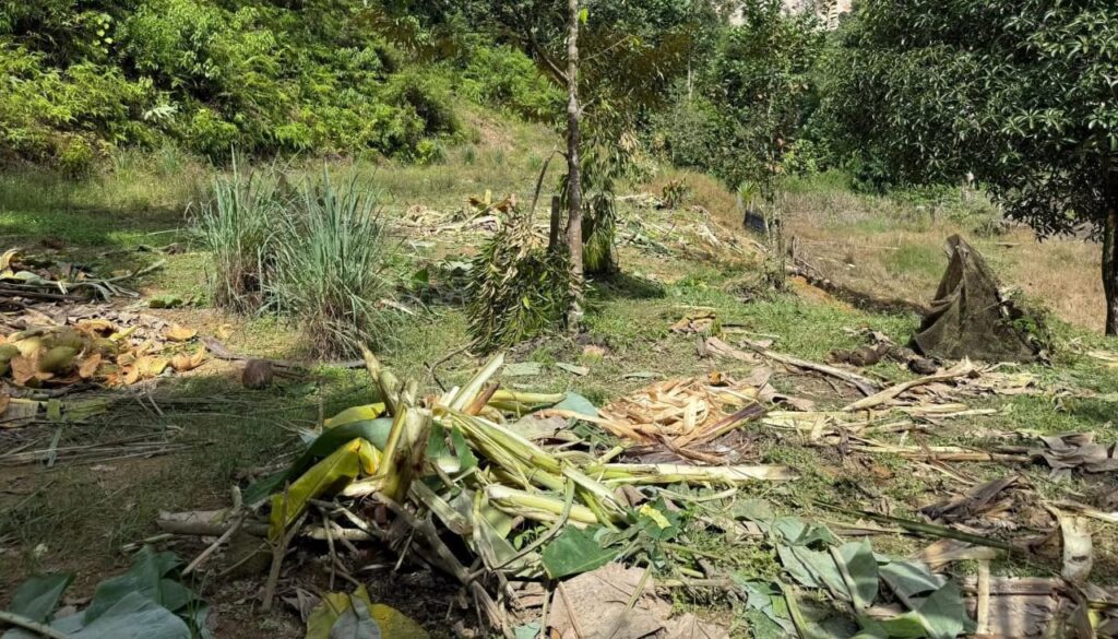 LEAD-gajah-amuk-1024×585-1