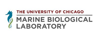 Since 1888, the MBL has hosted thousands of researchers, students and faculty from all over the world. It is precisely this wealth in perspectives and experiences that makes our community unique. For this reason, the lab strives to maintain a welcoming environment where diverse perspectives and experiences are combined with an atmosphere of collaboration and training in efforts to advance scientific inquiry and discovery. (PRNewsfoto/Marine Biological Laboratory)